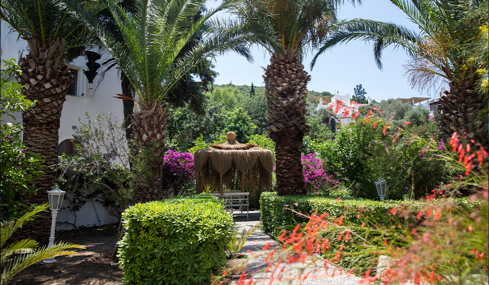 bahce