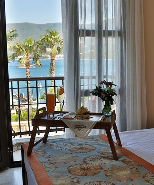 Standart Bahçe Manzaralı